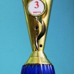 3 место-Знатоки избирательного права-2017