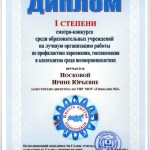 Диплом 1 степени Носковой ИЮ_2017